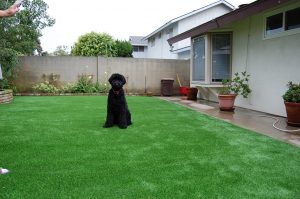 Indian Springs Synthetic Turf Landscaping Installation in 91935