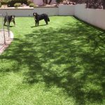 Synthetic Lawn Pet Turf Company San Marcos, Best Artificial Pet Turf Pricing