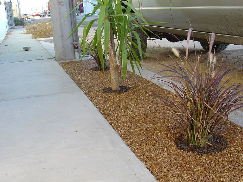 Porous Tree Well Installation Services San Marcos, Tree Well Maintenance and Cleaning