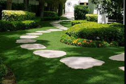 Create Signature Landscape With Artificial Grass San Marcos