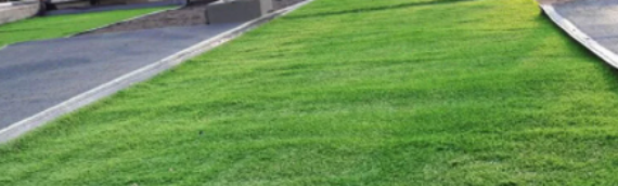 ▷Mistakes To Avoid With Artificial Lawn San Marcos