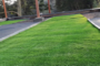 Mistakes To Avoid With Artificial Lawn San Marcos