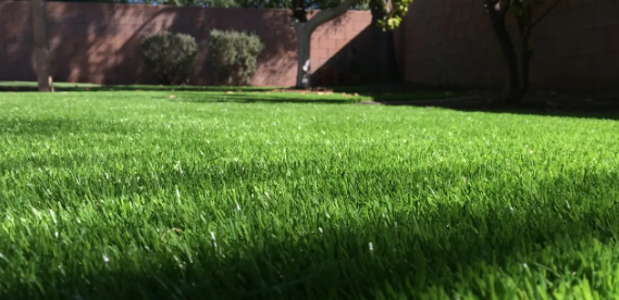 7 Tips To Keep Artificial Lawn Green All Winter Long San Marcos