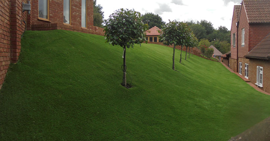 7 Tips To Install Artificial Grass On A Slope San Marcos
