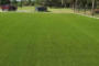 5 Proven Methods To Install Artificial Grass In Your Lawn In San Marcos