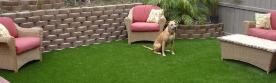 ▷5 Tips To Maintain Artificial Pet Turf On My Terrace In San Marcos