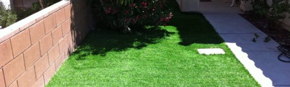 ▷How To Maintain Your Artificial Grass Lawn In Summer In San Marcos?