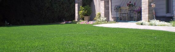 ▷How To Use Artificial Grass For Your Home In San Marcos?