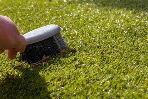 5 Reasons That Regular Brushing Is Necessary For Artificial Grass Maintenance In San Marcos