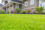 5 Reasons That Artificial Grass Withstands Extreme Weather Conditions In San Marcos